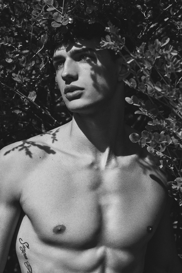 Anthony Meyer Photography