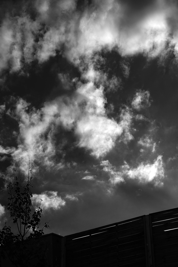 Anthony Meyer Photography