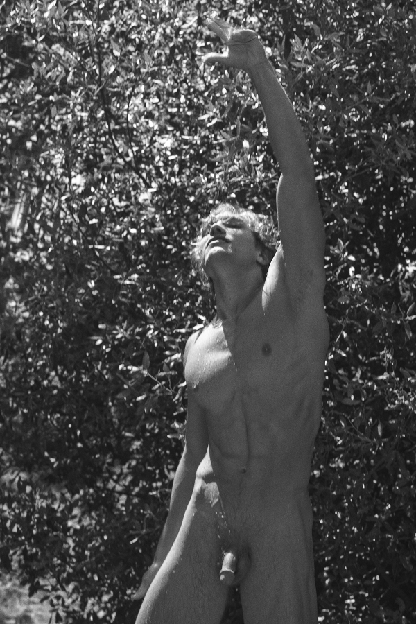 Anthony Meyer Photography